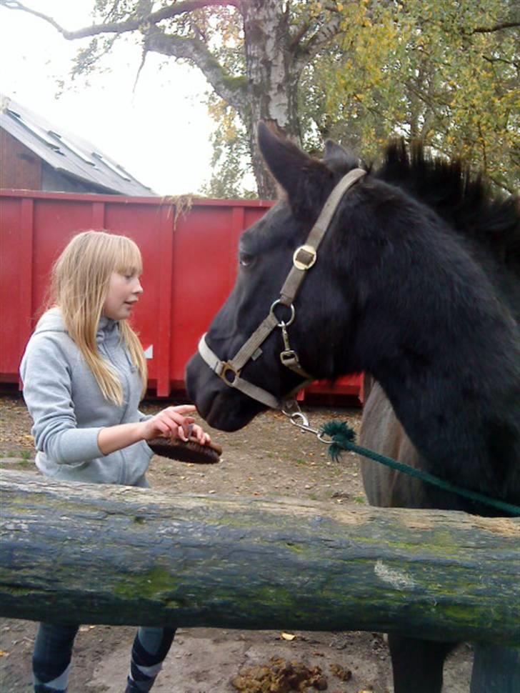 Anden særlig race Thor <3 Love ya' <3 Part  - Hej Lea XD  (beklager kvaliteten) Foto: Nikoline <3 Tak (; billede 4