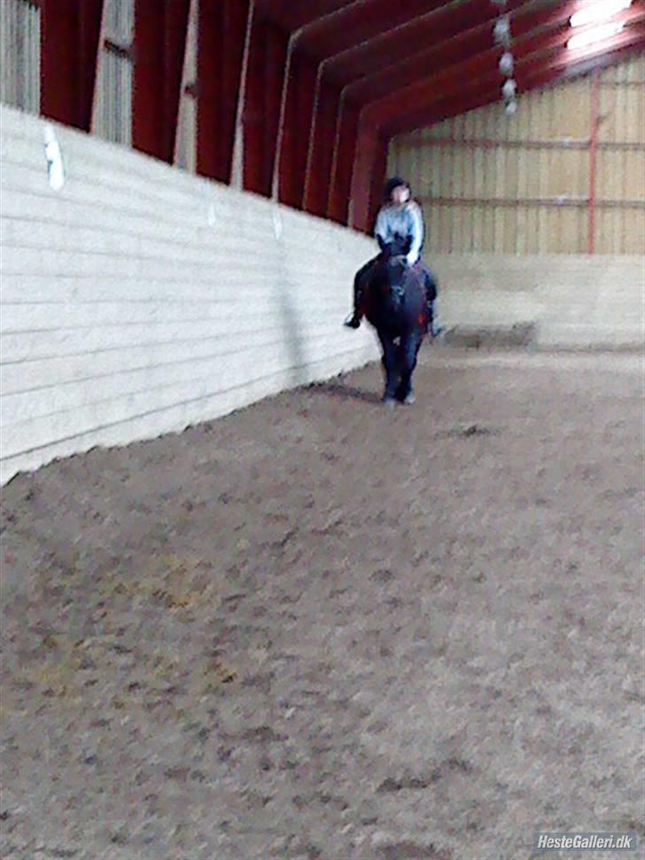 Anden særlig race Thor <3 Love ya' <3 Part  - Jeg skal ride, ride, ride og hun skal bare sidde, sidde, sidde XD  <3 (beklager kvaliteten) Foto: Nikoline <3 Tak (; billede 8