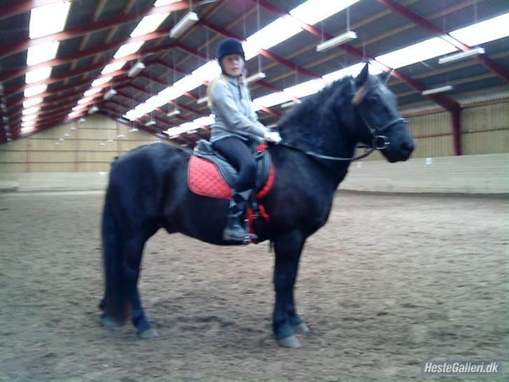 Anden særlig race Thor <3 Love ya' <3 Part  - Hvad var det XD <3  (beklager kvaliteten) Foto: Nikoline <3 Tak (; billede 9