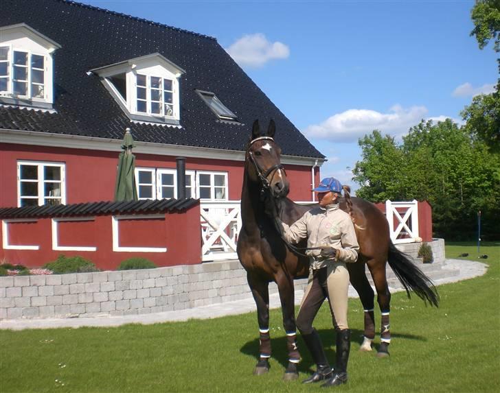 Hannoveraner Chienuc Navar - Chienuc og jeg en sommerdag :) billede 1