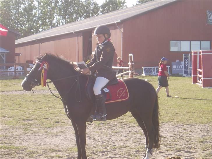 Anden særlig race Bum-Bum  *SOLGT* - vandt oppe på solrød billede 6