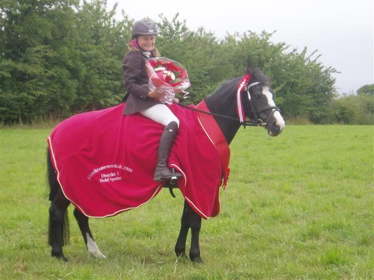 Anden særlig race Bum-Bum  *SOLGT* - distriksmester for hold billede 7