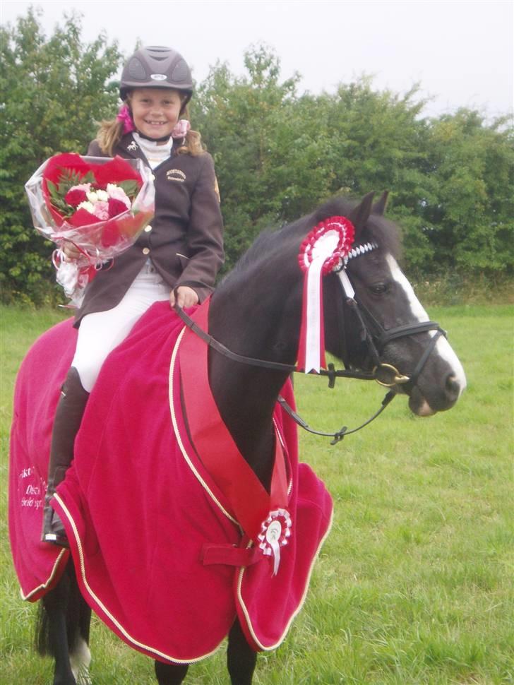 Anden særlig race Bum-Bum  *SOLGT* - distriksmester for hold billede 9