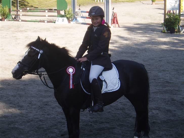 Anden særlig race Bum-Bum  *SOLGT* billede 10