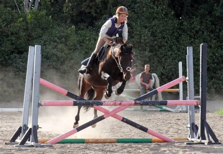 Anden særlig race Stella (solgt) - [12] Springning d. 12 August. (; Foto: jus billede 11