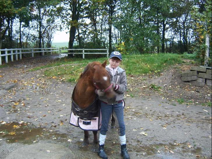 Anden særlig race Freja (rider) - altså mor nu vil jeg på fold billede 1