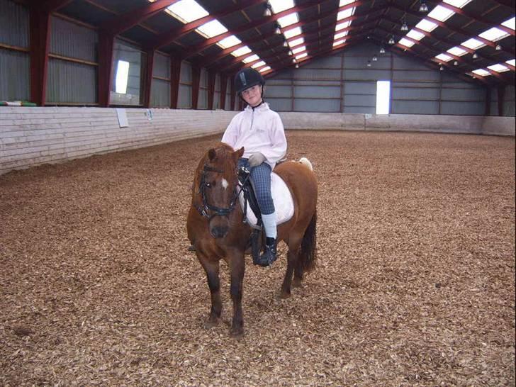 Anden særlig race Freja (rider) - husk at smil mor vi skal se godt ud billede 4