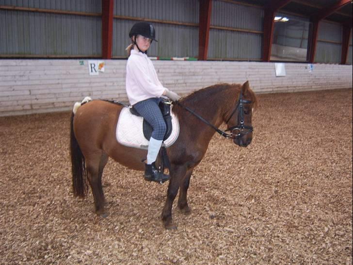 Anden særlig race Freja (rider) - jeg er så dygtig billede 5