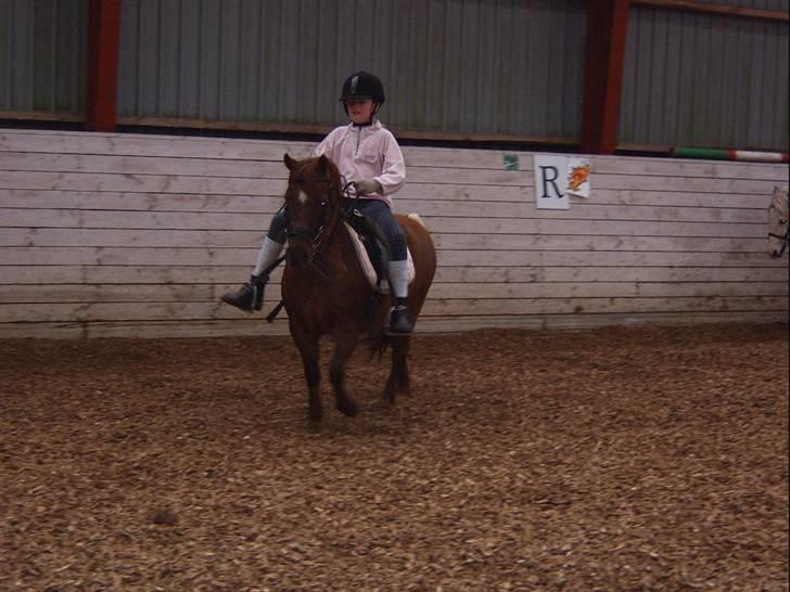 Anden særlig race Freja (rider) - hov mine ben kan flyve(o: billede 8