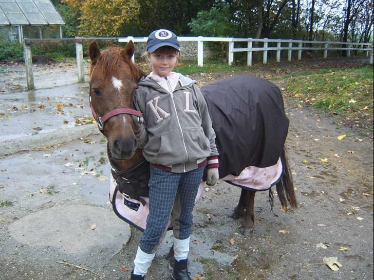 Anden særlig race Freja (rider) - kom nu altså nu vil jeg på fold jeg kan jo ikke lade de andre spise aldt det grøne græds vel mor billede 9