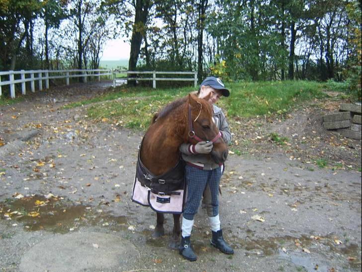 Anden særlig race Freja (rider) - dumme jeg vil ikke fokoferes jeg vil på fold nu billede 10
