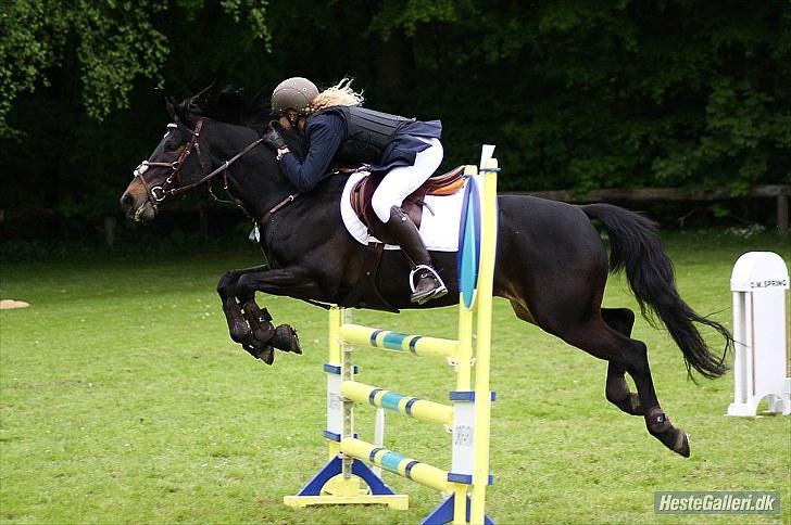 DSP Samara Spring pony -  SJM for hold. billede 20