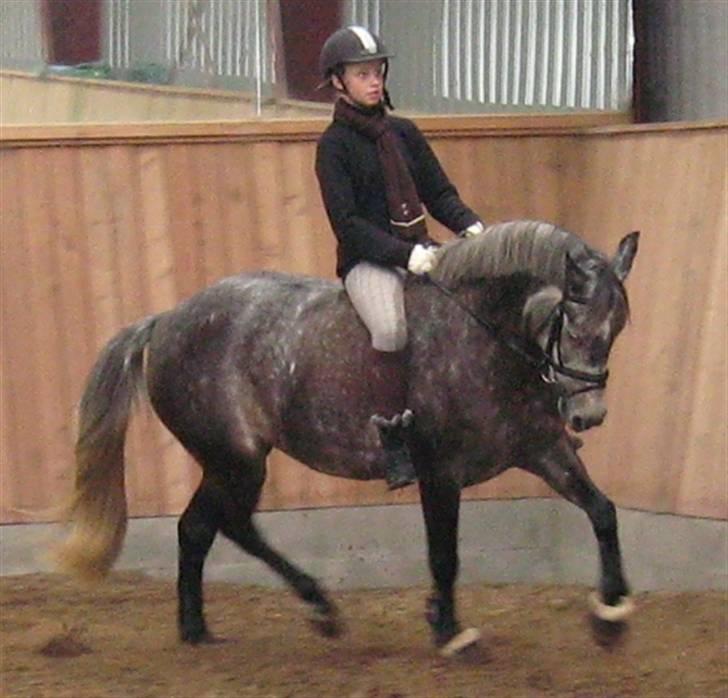 Anden særlig race Victoria - Hygge-ridning =) billede 20