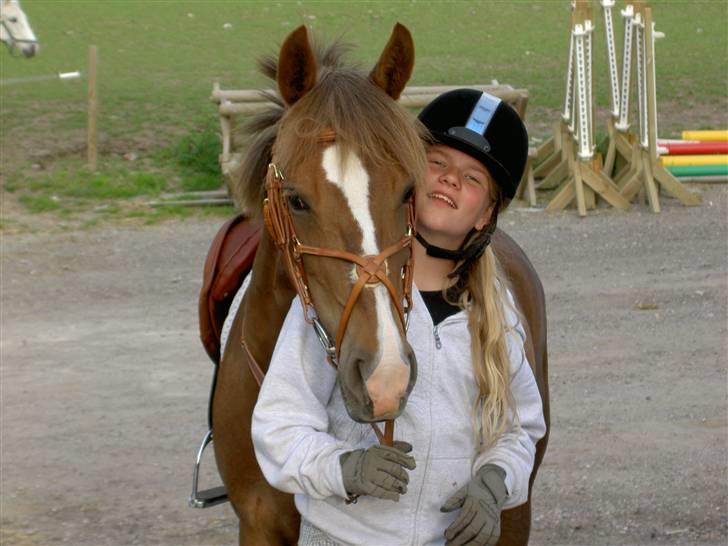 New Forest Elmholts Imits  - klar til at springe :-) billede 12