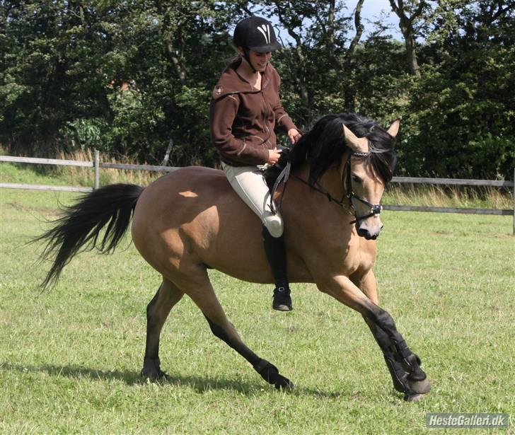 Anden særlig race Shanon B-pony - Shanon og mig på springbanen u. sadel. foto:: Sis<3 SHP billede 6