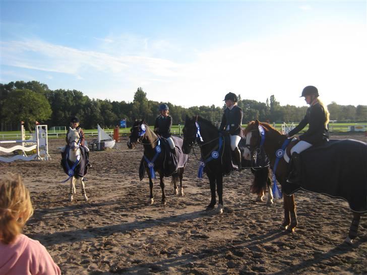 New Forest Palle (solgt) - Sjællandsmester hold 2008  billede 13
