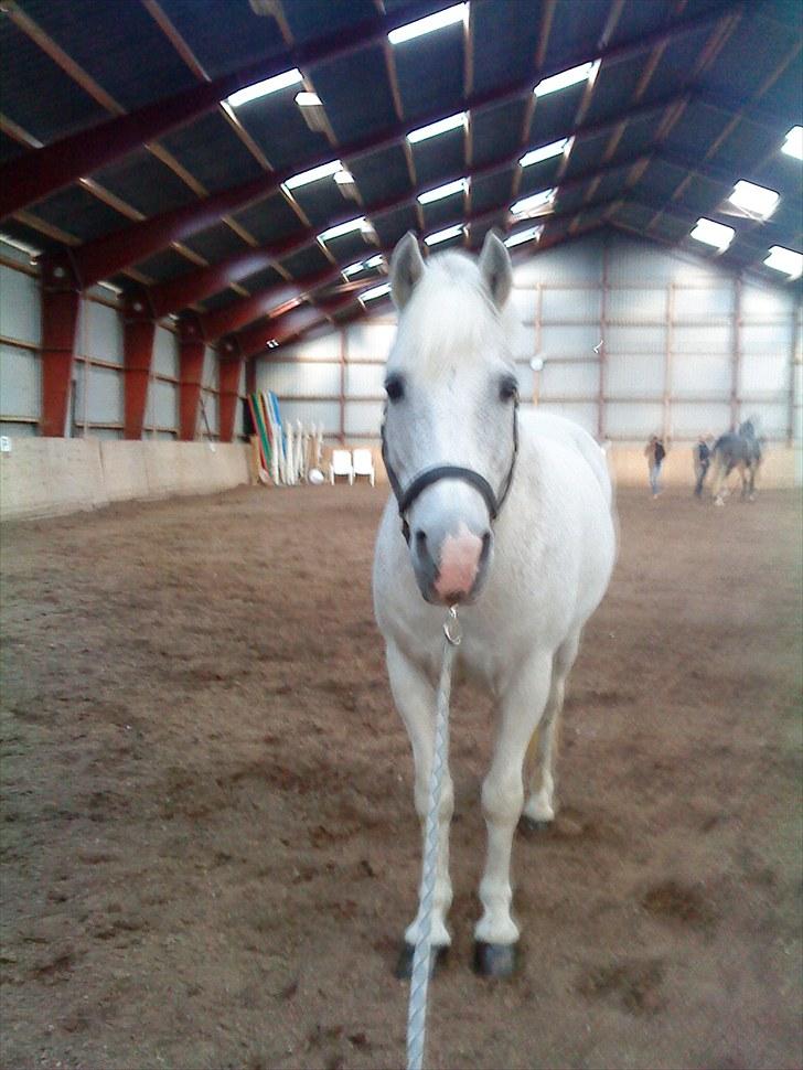 Anden særlig race † Fillur † *Alting* <3 - Du var bare så glad; altid. Tiden hvor du var forfangen, meget smertefuldt!. men du prøvede at holde smerten ud. fille i loooooove you  billede 17