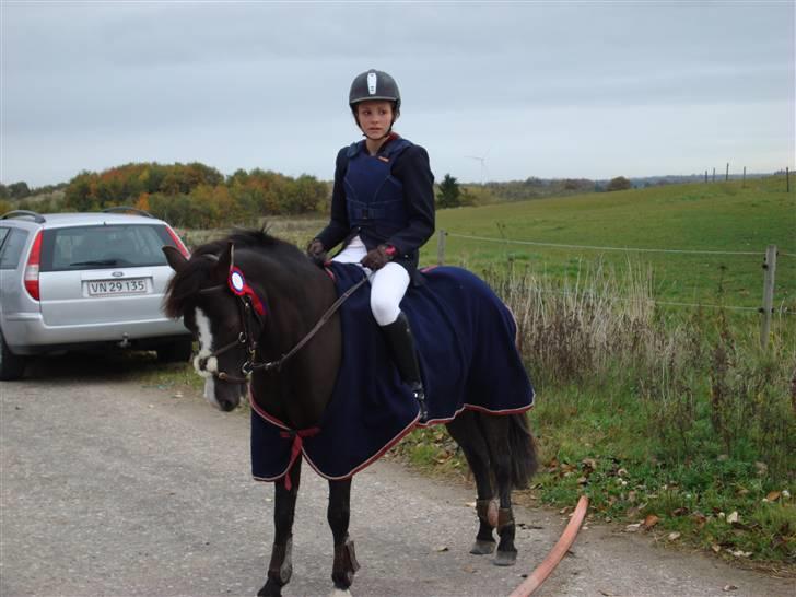 Gotlandsruss Alexa (Gammel låner) - Springstævne i Oktober FEJLFRI Foto: Far billede 19