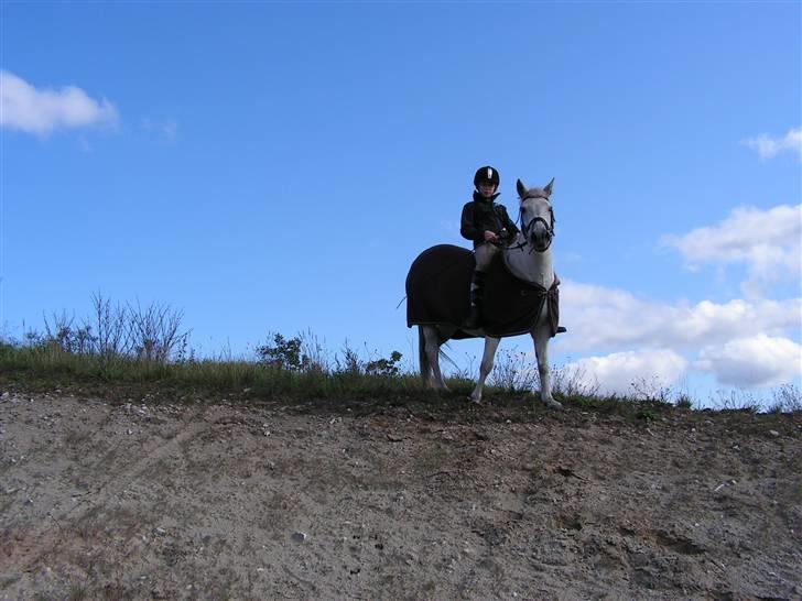 Anden særlig race Musse. R.I.P. *Himmel hest* - wow vi er gode,(:  billede 13