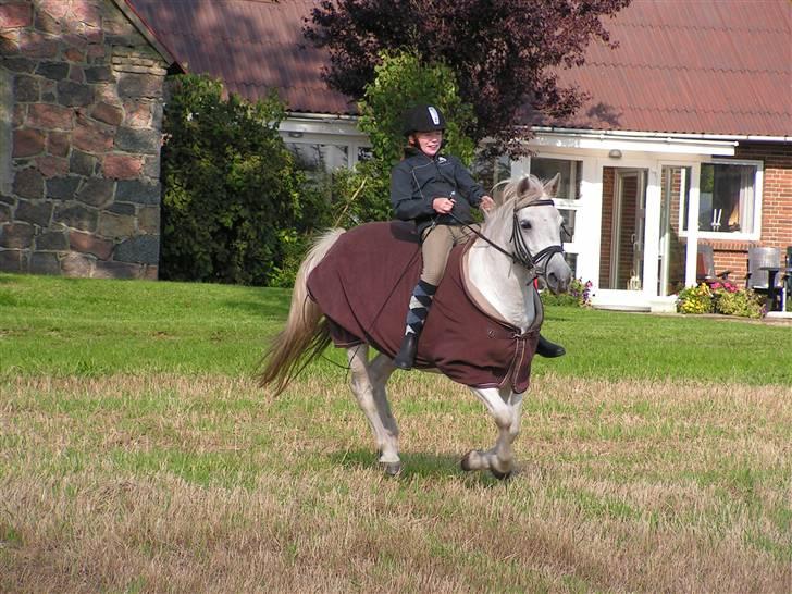 Anden særlig race Musse. R.I.P. *Himmel hest* - jeg kan ikk holde dig /; <3  billede 14