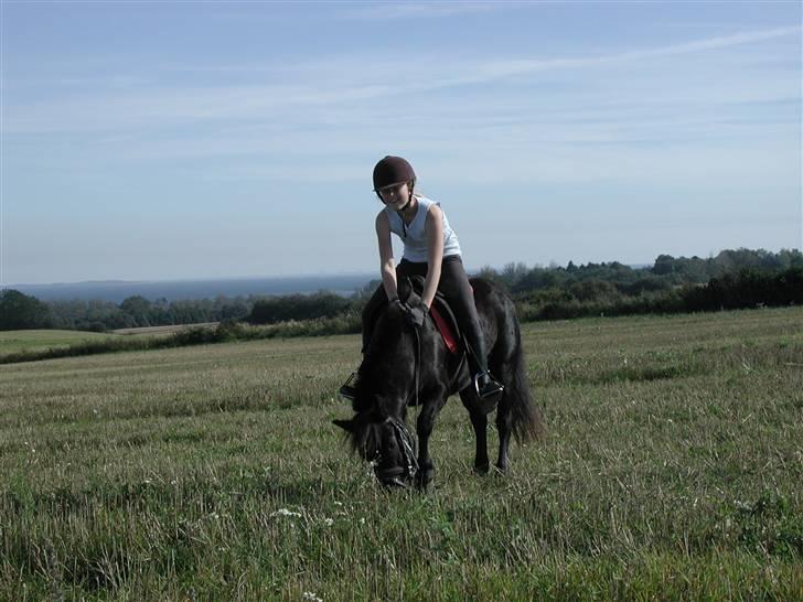 Anden særlig race Tulle <3 - SOLGT - Velkommen til Tulles profil <3 billede 1