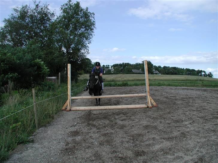 Anden særlig race Tulle <3 - SOLGT - Tullemin<3 billede 2