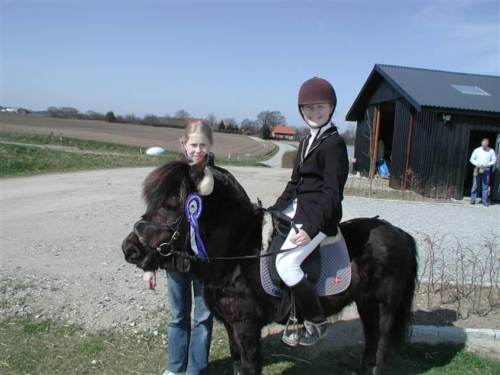 Anden særlig race Tulle <3 - SOLGT - Mit sidste stævne på Tulle :( snøft <3 Jeg blev for stor til hende  billede 5