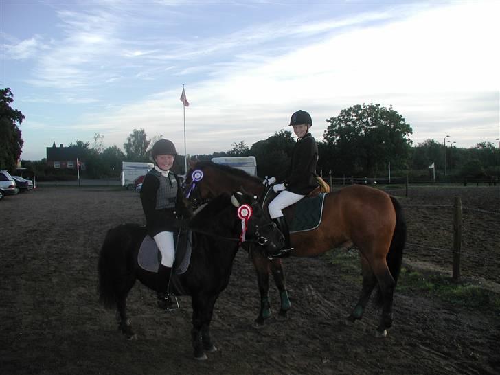 Anden særlig race Tulle <3 - SOLGT - Camilla og jeg blev nr . 1&2 på Tulle, så Dandy fik lov til at komme med til præmieoverrækkelse:)  billede 6