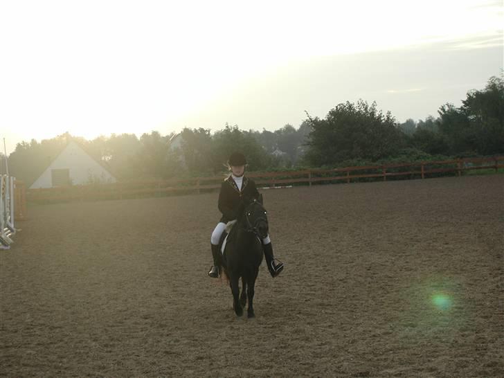 Anden særlig race Tulle <3 - SOLGT - Stævne i Hylke <3 billede 7