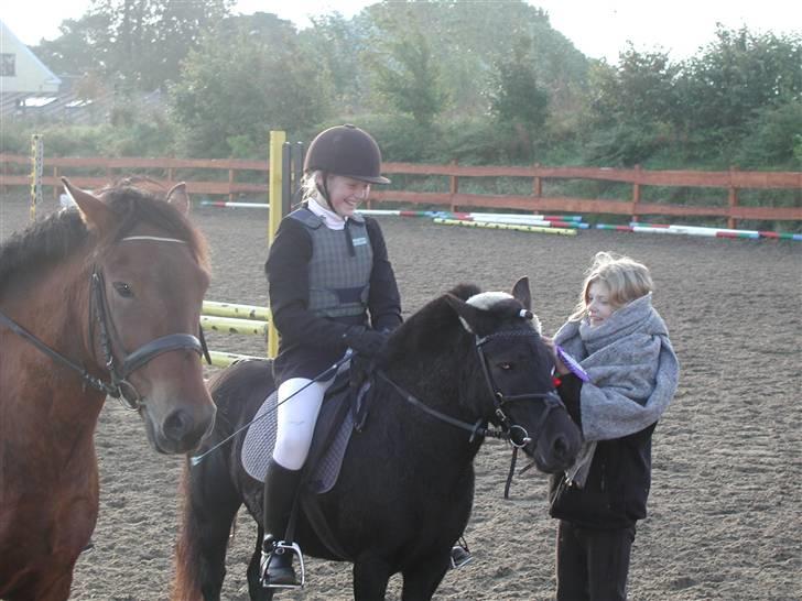 Anden særlig race Tulle <3 - SOLGT - Tulle og jeg vandt en klasse i hylke<3 billede 8