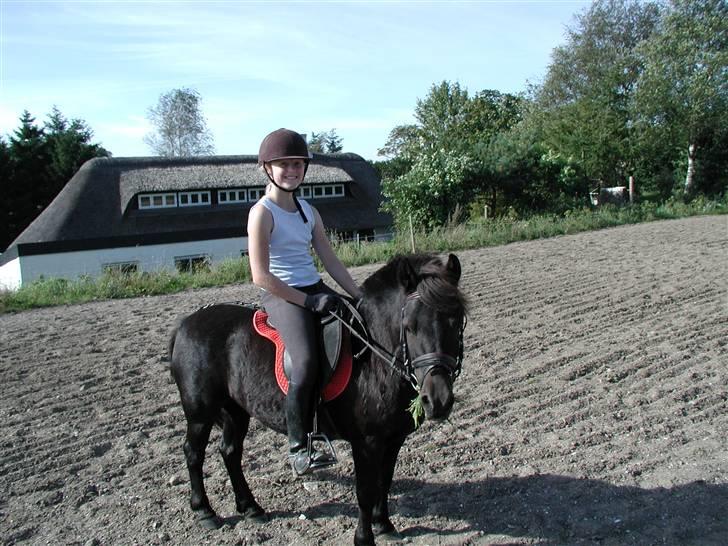 Anden særlig race Tulle <3 - SOLGT - Tullemin<3 billede 10