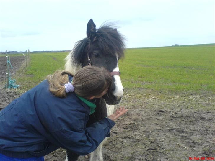 Anden særlig race Cervinagaards Mikja - mysse hovde mikja =) billede 20
