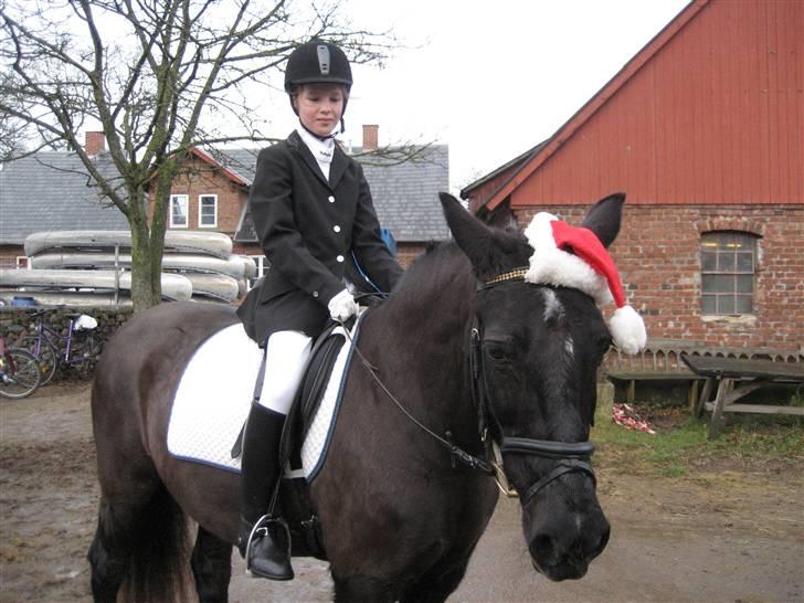 Anden særlig race Stella R.I.P. :-( - mig & stella til stævne.  billede 7