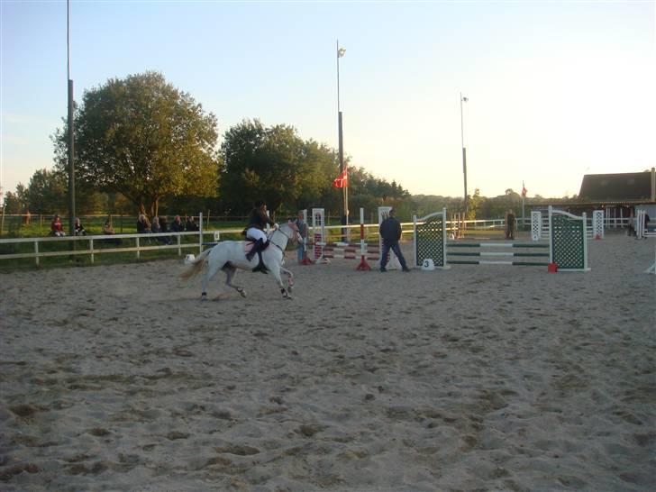 Anden særlig race Duet- min stjerne<3 - igen på banen til Årslev(LB) billede 3