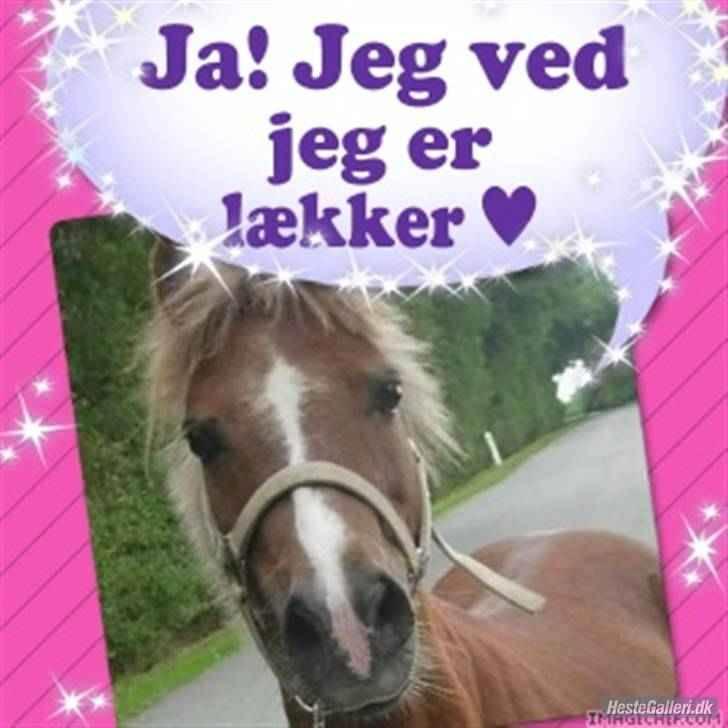 Anden særlig race Min egen Katinga<3 - Ja jeg ved at hun er lækker.. billede 14