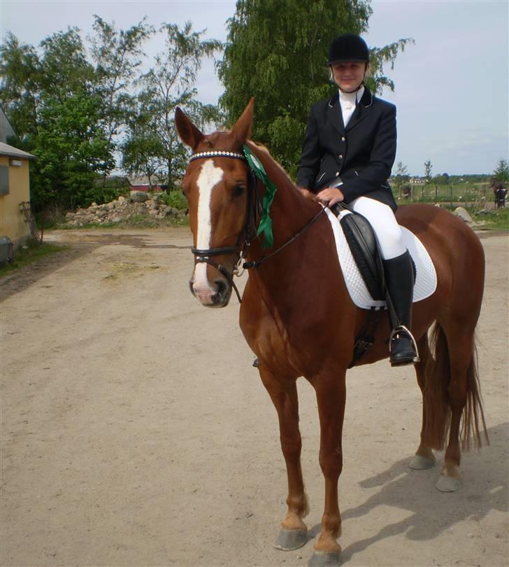 Frederiksborg Atlantis billede 6