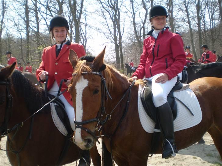 Frederiksborg Atlantis billede 7