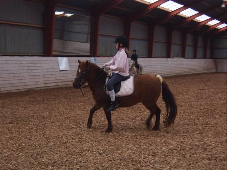 Anden særlig race Freja (rider) - nu vil jeg atså fremad mor kom nu billede 11