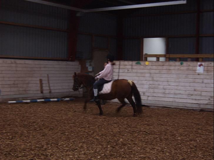 Anden særlig race Freja (rider) - se lige mine ben hvor de kan var billede 12