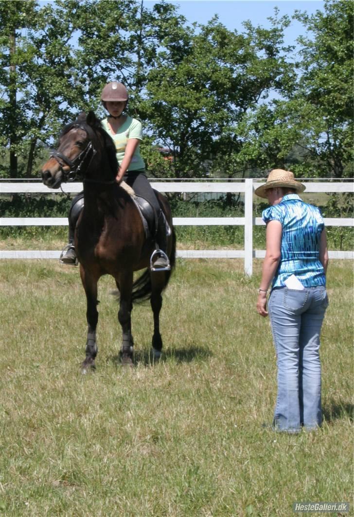 Irsk Sportspony Nancy † R.I.P 11/1-10 † - så høre vi efter  billede 14