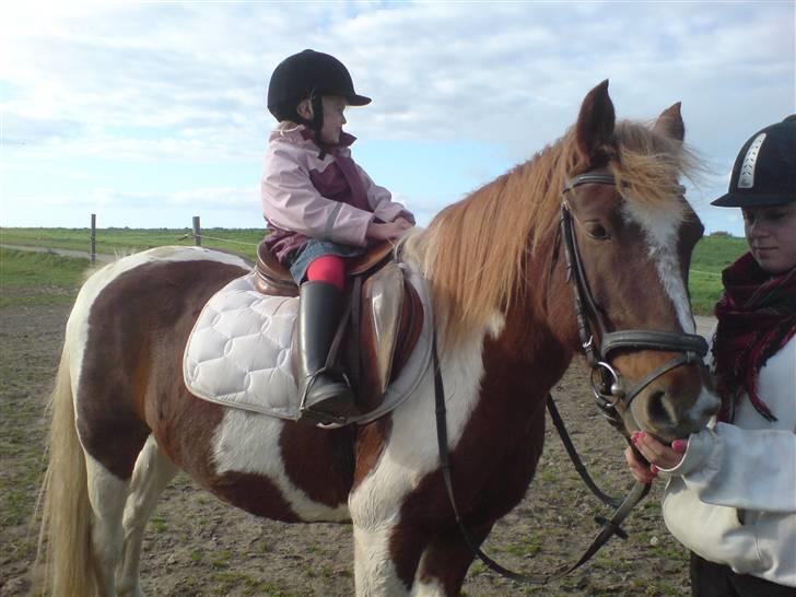 Anden særlig race Indi (SOLGT) - meget børne venlig. miin kusine på 4 år :) billede 8