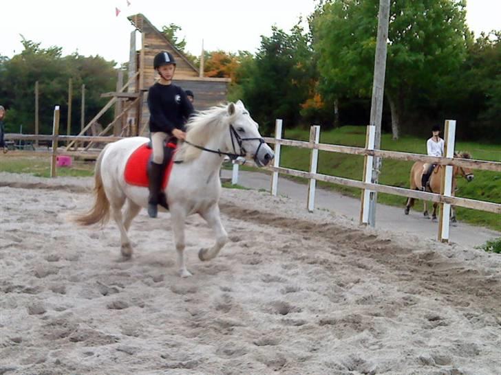 Anden særlig race Spot - R.I.P billede 8