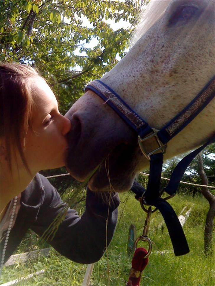 Anden særlig race Spot - R.I.P sidste dag med dig ): billede 9