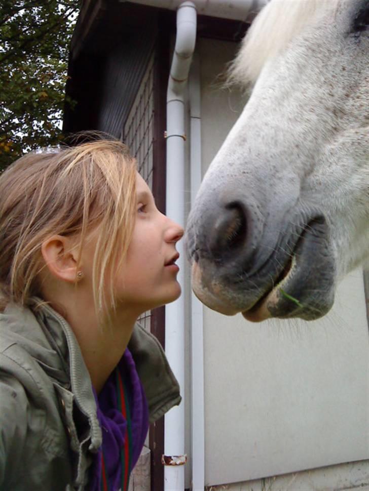 Anden særlig race Spot - R.I.P billede 15