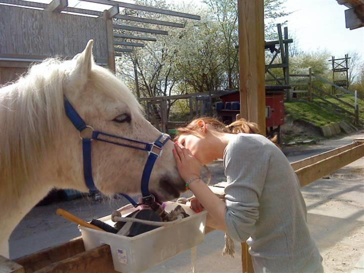 Anden særlig race Spot - R.I.P alt billede 20