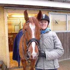 Anden særlig race Bernando