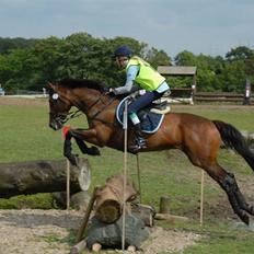 Fuldblod (XX) My Topaz xx