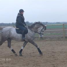 Anden særlig race Happy dane solgt