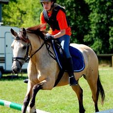 Anden særlig race Chanel *Solgt*