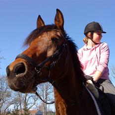 Anden særlig race Aukje "Lille'pigen" <3